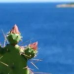 180° Sea View Private House Vis Island Archipelago